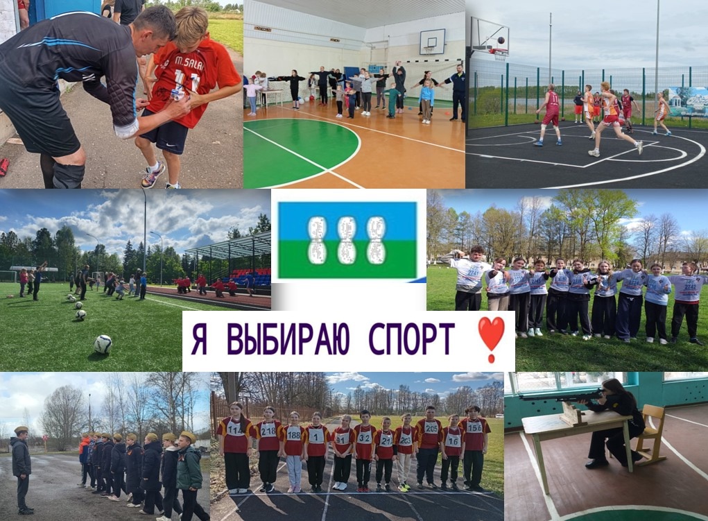 Спортивный праздник, посвященный Дню физкультурника и Дню города Новоржева.