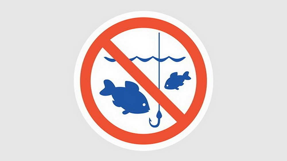 Нерестовый запрет 2024 оренбургская область. Ловля рыбы запрещена. Ловля рыбы запрещена табличка. Знак запрещено ловить рыбу. Лов рыбы запрещен табличка.